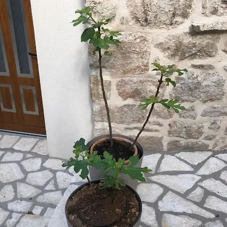 Old Town Tonka شقة *